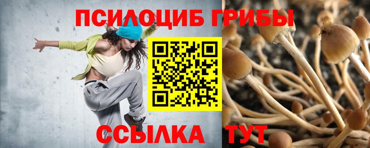 Псилоцибиновые грибы Cubensis  Вход с VPN  Камень-на-Оби  Псилоцибиновые грибы MAGIC MUSHROOMS 